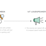 Polly Diagram